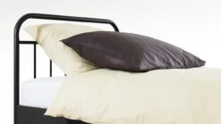 Bed Alex 1-persoons Zwart Metaal – Modern Industrieel Spijlenbed voor Tienerkamer 17 Bed Alex 1-persoons Zwart Metaal – Modern Industrieel Spijlenbed voor Tienerkamer -Beter Bed Winkel Bed Alex 1 persoons zwart 7