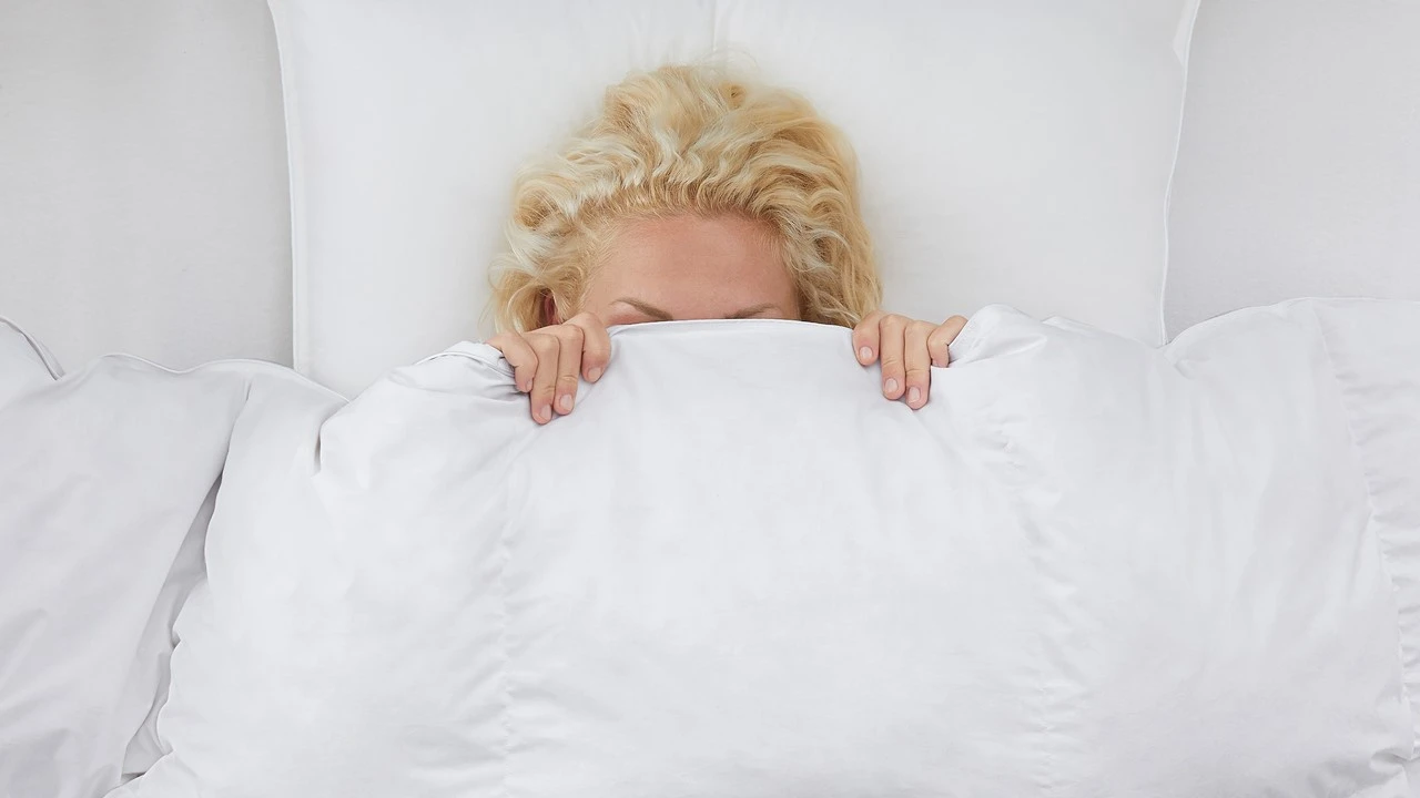 Capella Luxe 15% Eendendons Winterdekbed – Zwaarder Comfort & Anti-Allergisch 5 Capella Luxe 15% Eendendons Winterdekbed – Zwaarder Comfort & Anti-Allergisch - Afbeelding 3