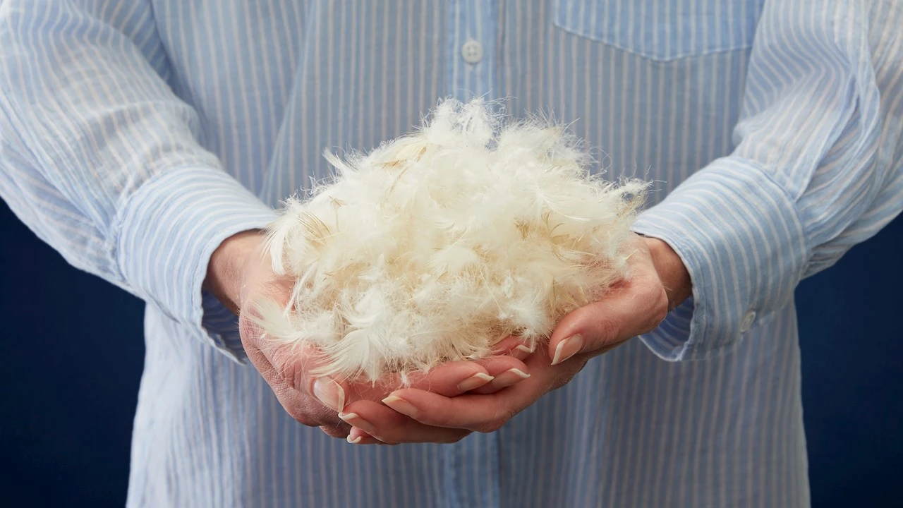 Silvana Royale Groen Extra Warm – 100% Hoogwaardig Eendendons Winterdekbed 7 Silvana Royale Groen Extra Warm – 100% Hoogwaardig Eendendons Winterdekbed - Afbeelding 5