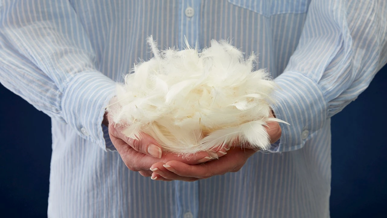 Hoofdkussen Half Dons - 15% Eendendons & 85% Veren - 100% Katoenen Tijk 7 Hoofdkussen Half Dons - 15% Eendendons & 85% Veren - 100% Katoenen Tijk - Afbeelding 5