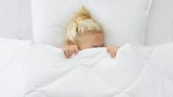 Dekbed Select Synthetisch 4-Seizoenen – Anti-allergisch 100% Perkal Katoen 10 Dekbed Select Synthetisch 4-Seizoenen – Anti-allergisch 100% Perkal Katoen -Beter Bed Winkel Dekbed Select synthetisch 4 seizoenen 2