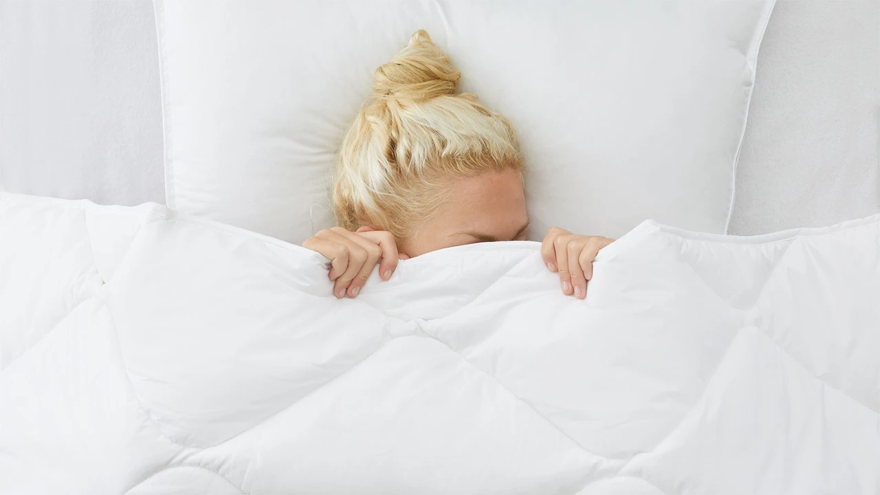 Dekbed Select Synthetisch 4-Seizoenen – Anti-allergisch 100% Perkal Katoen 5 Dekbed Select Synthetisch 4-Seizoenen – Anti-allergisch 100% Perkal Katoen - Afbeelding 3