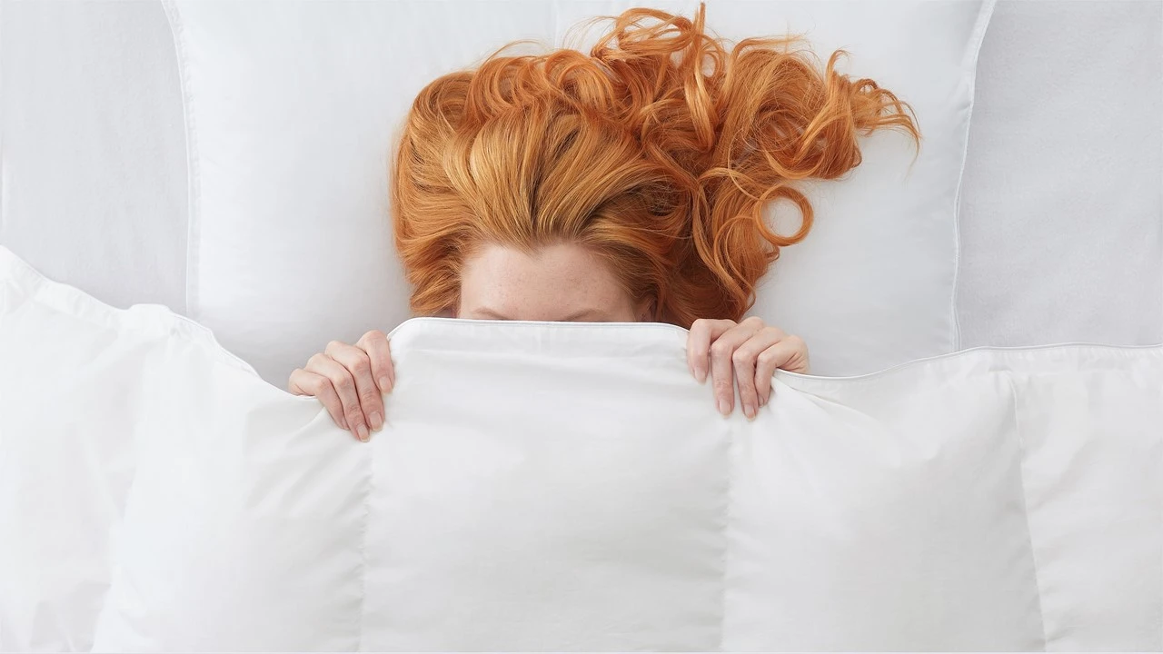 Silvana Royale Groen Extra Warm – 100% Hoogwaardig Eendendons Winterdekbed 5 Silvana Royale Groen Extra Warm – 100% Hoogwaardig Eendendons Winterdekbed - Afbeelding 3