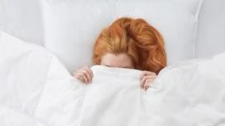 Dekbed Superieur 90% Ganzendons Zomer – Carré Gestikt & 100% Katoen -Beter Bed Winkel Dekbed Superieur 90 dons zomer 2