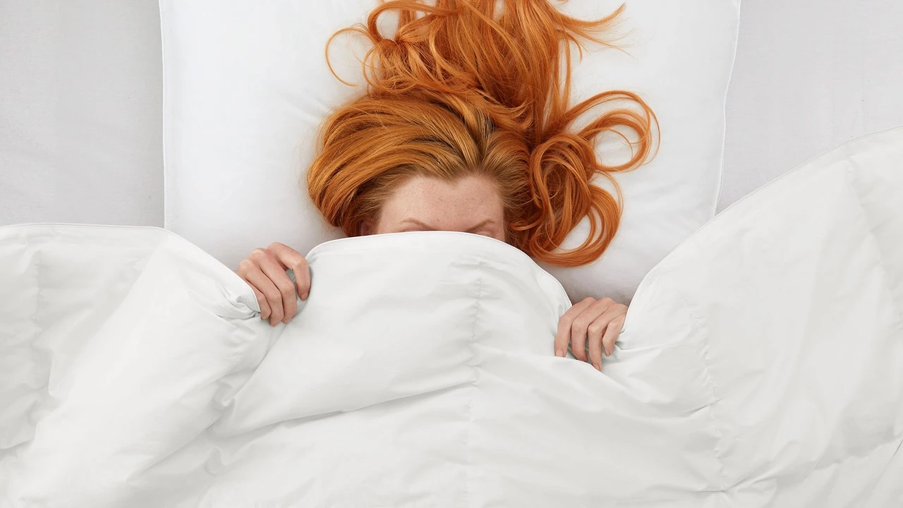 Ducky Dons Taurus 4-Seizoenen Dekbed - 90% Europese Ganzendons - Anti-Allergisch 5 Ducky Dons Taurus 4-Seizoenen Dekbed - 90% Europese Ganzendons - Anti-Allergisch - Afbeelding 3