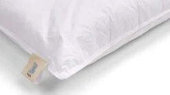 B Bright Bamboe Hoofdkussen – Verkoelend & Ventilerend Kussen voor Zij- en Rugslapers 12 B Bright Bamboe Hoofdkussen – Verkoelend & Ventilerend Kussen voor Zij- en Rugslapers -Beter Bed Winkel Hoofdkussen B Bright Bamboe 1