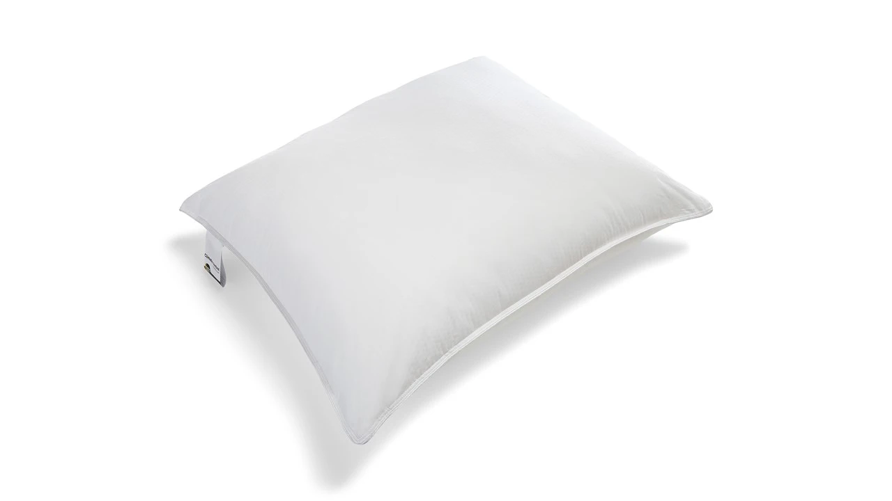 Hoofdkussen Climate Control – Koelend Tones of Cool® Kussen voor Rug- en Zijslapers – Ecodown Vulling 3 Hoofdkussen Climate Control – Koelend Tones of Cool® Kussen voor Rug- en Zijslapers – Ecodown Vulling