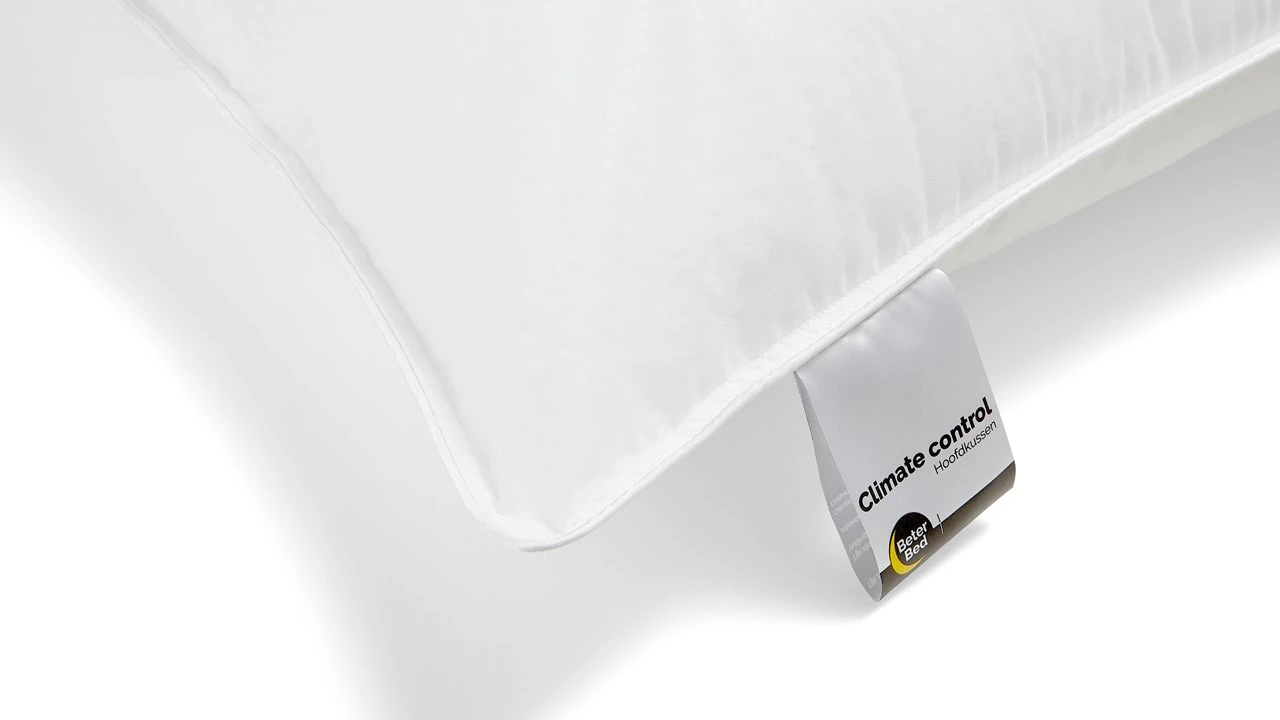 Hoofdkussen Climate Control – Koelend Tones of Cool® Kussen voor Rug- en Zijslapers – Ecodown Vulling 6 Hoofdkussen Climate Control – Koelend Tones of Cool® Kussen voor Rug- en Zijslapers – Ecodown Vulling - Afbeelding 4