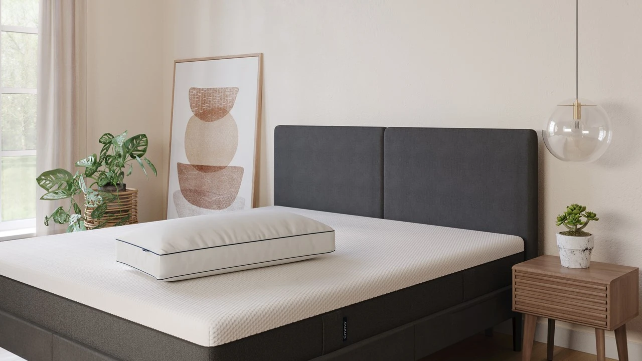 Emma Cloud Hoofdkussen โ Aanpasbaar & Donzig Synthetisch Kussen 4 Emma Cloud Hoofdkussen โ Aanpasbaar & Donzig Synthetisch Kussen - Afbeelding 2