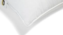 Duurzaam Driekamer Dons Hoofdkussen – Gerecycled Dons & Veren – Rug- en Zijslaper Comfort -Beter Bed Winkel Hoofdkussen Duurzaam driekamer dons 5