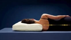 First Kapok Hoofdkussen – Stevig Boxmodel met Natuurlijke Vulling – Verstelbaar & Ventilerend 10 First Kapok Hoofdkussen – Stevig Boxmodel met Natuurlijke Vulling – Verstelbaar & Ventilerend -Beter Bed Winkel Hoofdkussen First Kapok 2