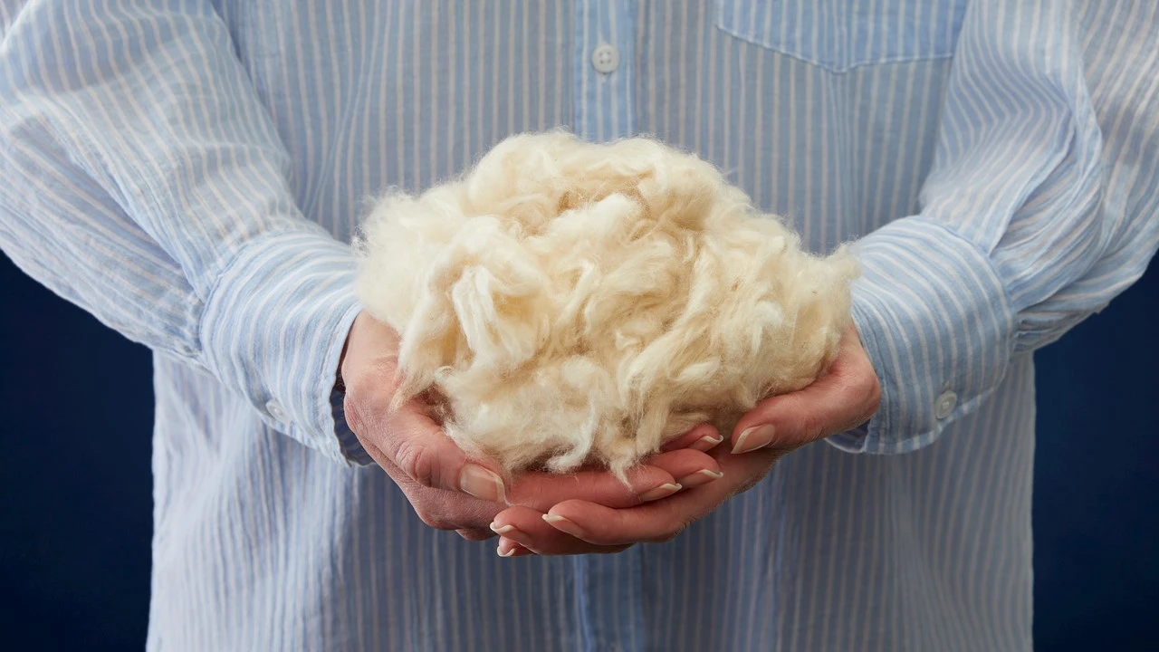 First Kapok Hoofdkussen – Stevig Boxmodel met Natuurlijke Vulling – Verstelbaar & Ventilerend 7 First Kapok Hoofdkussen – Stevig Boxmodel met Natuurlijke Vulling – Verstelbaar & Ventilerend - Afbeelding 5