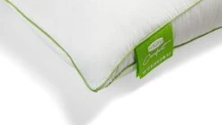 Silvana Comfort Groen Hoofdkussen - Extra Stevig & Synthetisch - Hardheid 6/6 11 Silvana Comfort Groen Hoofdkussen - Extra Stevig & Synthetisch - Hardheid 6/6 -Beter Bed Winkel Hoofdkussen Silvana Comfort Groen 3