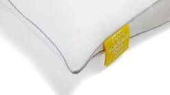 Silvana Support Royale Geel – Vita Talalay® Latex Extra Stevig Neksteunkussen 10 Silvana Support Royale Geel – Vita Talalay® Latex Extra Stevig Neksteunkussen -Beter Bed Winkel Hoofdkussen Silvana Support Royale geel geel 3