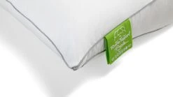 Silvana Support Royale Groen โ Extra Stevig Neksteun Kussen voor Stevig Matras 10 Silvana Support Royale Groen โ Extra Stevig Neksteun Kussen voor Stevig Matras -Beter Bed Winkel Hoofdkussen Silvana Support Royale groen groen 3
