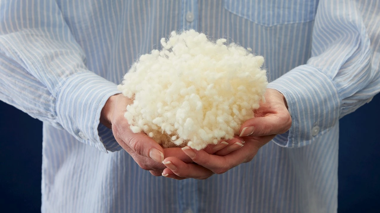 Texeler Bovenste Beste 4-Seizoenen Wol Dekbed – 100% Texelse Lamswol & Tencel Tijk 7 Texeler Bovenste Beste 4-Seizoenen Wol Dekbed – 100% Texelse Lamswol & Tencel Tijk - Afbeelding 5