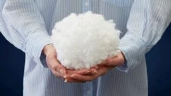 Polydaun Dekbed Frisk Synthetisch Alle Seizoenen – Warmteklasse 2 Katoenen Tijk -Beter Bed Winkel Hoofdkussen White box 29