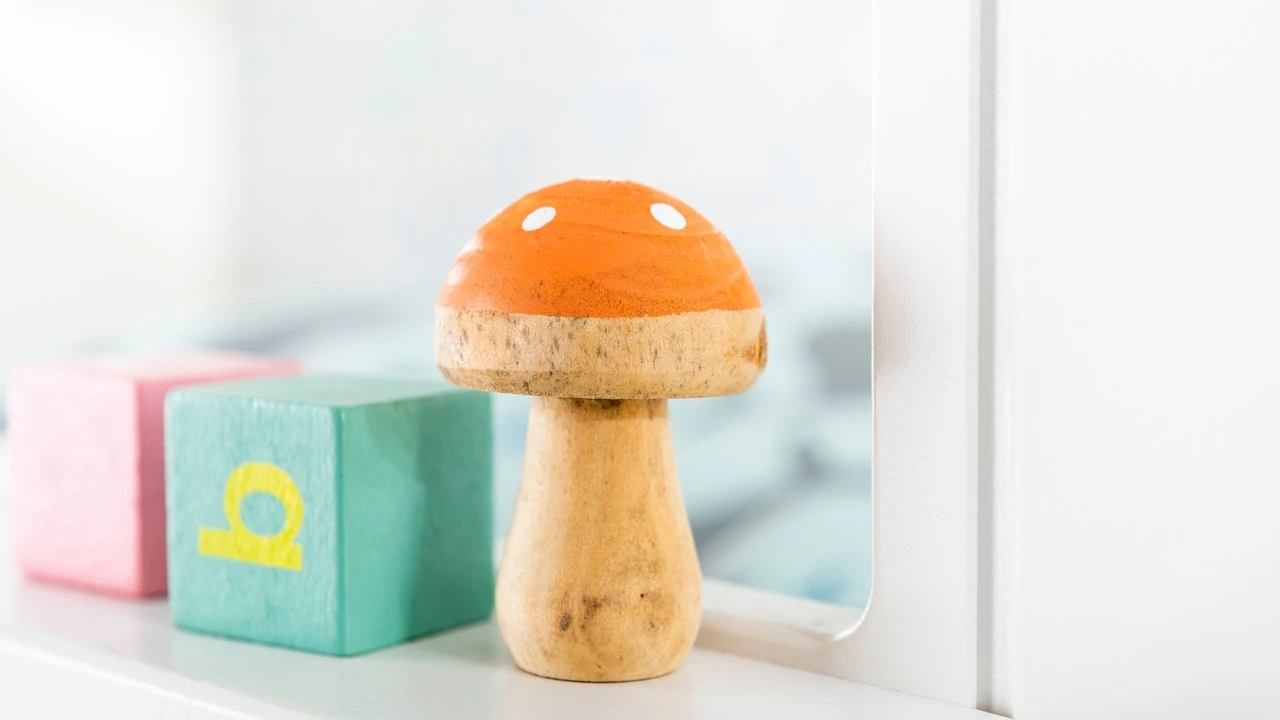 Flexworld Sofabed Puck met Dakframe en Heel Dak - Wit Grenenhout Huisbed 15 Flexworld Sofabed Puck met Dakframe en Heel Dak - Wit Grenenhout Huisbed - Afbeelding 13