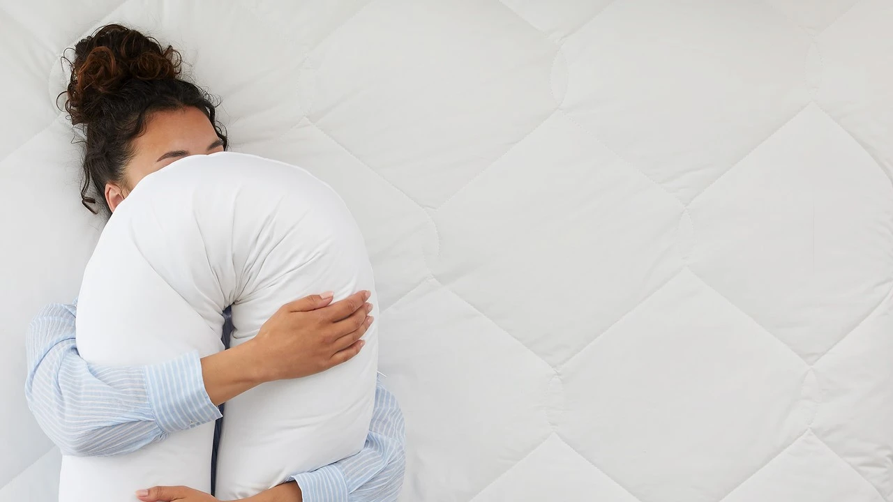 Polydaun Voedingskussen Wit โ Multifunctioneel Zwangerschapskussen met 100% Katoenen Tijk 4 Polydaun Voedingskussen Wit โ Multifunctioneel Zwangerschapskussen met 100% Katoenen Tijk - Afbeelding 2